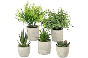 CRESZZLE Set de 5 Planta Artificial pequeña con Aspecto Realista – Plantas Artificiales Ideales para salón, Dormitorio u Oficina, Decoracion baño Moderna y Elegante.