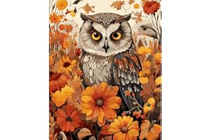 HEIBAGO Owl Paint by Numbers, Flowers Paint by Numbers for Adults Beginners, DIY Paint by Numbers on Canvas Animal Oil Painting Picture for Home Art Decor 16x20 Inch