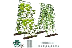 SUNYRISY 2 Stück Metall Gurke Rankhilfe, Rankgitter für Gurke, Gitternetz Kletterpflanzen Rankhilfe, Tomaten Rankhilfe, Pflanzenstütze für Blumen & Nutzpflanzen, Grün