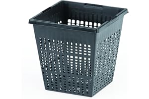 OASE 53754 Panier à plantes carré 11