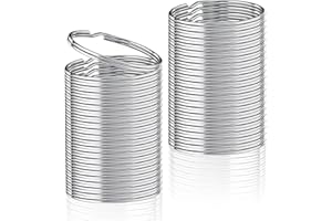 Augshy Silberne Schlüsselringe, 60 Stück Runde 25mm Edelstahl DIY Schlüsselanhänger Zubehör Metalle Ringe für Schlüssel und Handwerk