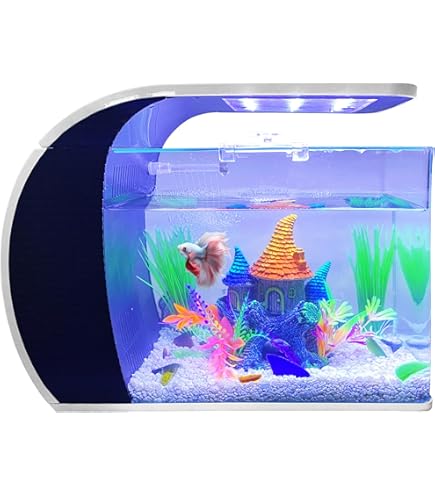 29 Gallon Tetra Open Glass 10 Gallon Rectangular Fish Aquarium
