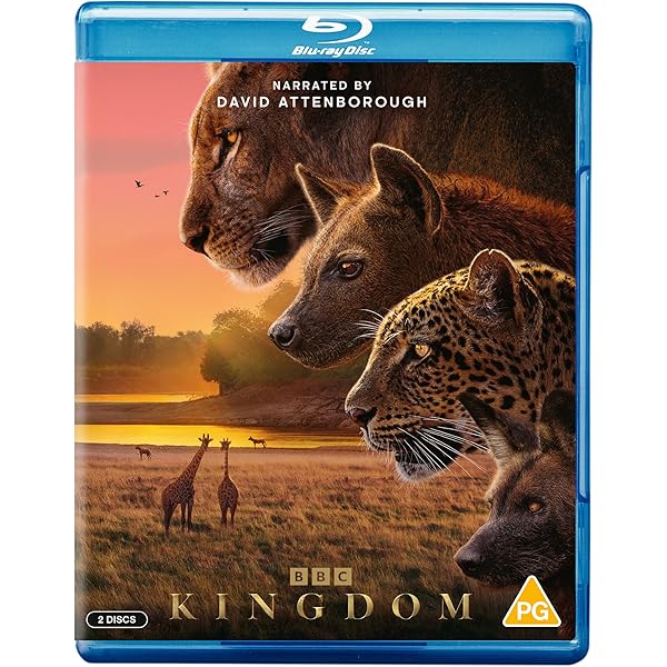 The Penguin King [Blu-ray] [Region B]: Amazon.co.uk: Simon Niblett