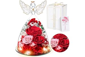 TOULOUBE Ewige Rose Weihnachten Geschenke | Ewige Rose in Engel Glaskuppel mit Einer wunderschönen Geschenkbox | Konservierte Blumen Handgemachte Infinity Rose für Frauen Freundin Mutter zu Valentinstag, Rot