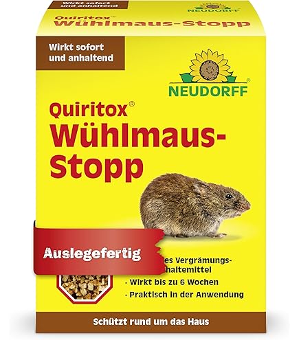 bestes saatgut gemüse Saatgut Mix 