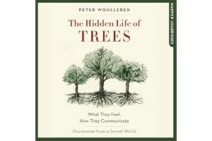The Hidden Life of Trees: What They Feel, How They Communicate - Discoveries from a Secret World