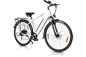 ‎AOIHO AOIHO 28" E Bike Herren, Elektrofahrrad City E Bike Damen mit 48V 499.2Wh Akku, Bis zu 100KM, 250W Motor, 7-Gang, LCD-Display, Elektrofahrräder mit Tempomat Modus, Pedelec 25 km/h