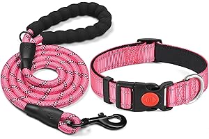 haapaw Collare Riflettente per Cani con Morbido Neoprene Traspirante Regolabile Collari in Nylon Per Cani Piccoli Medi Grandi
