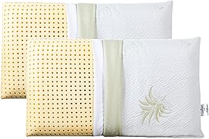 EVERGREENWEB MATERASSI & BEDS EVERGREENWEB Coppia Cuscini Letto 40x70 Alti 18 cm Modello Saponetta 100% Memory Foam Doppia Fodera Aloe Vera e Cotone Sfoderabile Guanciali RILASSANTI per dolori Cervicali con Dispositivo Medico