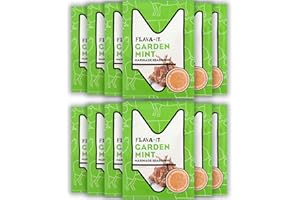 FLAVA IT Flava-It Garden Mint Marinade, 35 g, Pack of 12