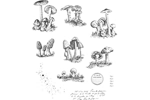 STAMPERS ANONYMOUS Tim Holtz - Stampers Anon Cling RBBR - Juego de sellos pequeños, talla única