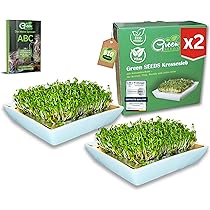 Green SEEDS® Kressesieb 1er Set | Edelstahlsieb mit hochwertiger Keramikschale | Anzuchtschale 14 x 14cm Spülmaschinenfest u. Rostfrei Sprossen-ABC (E-Book
