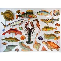 EF Glanzbilder Set „Fisch Muschel“ – Oblate Poesiebilder Für Scrapbooking & Deko, Ca. 24x15 Cm