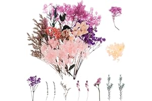 tao pipe Flores Secas, Flores Secas Naturales Flores Secas Bricolaje Mezclada Flores Secas Manualidades Flor Prensada Decoraciones para álbumes de Recortes Manualidades Colgante Artesanías de Resina