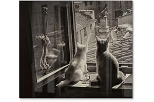 DEQORI Placa de cristal para cubrir estufas de cocina, de una pieza, 60 x 52 cm, diseño de gatos en el alféizar de la ventana, placa de vitrocerámica para cocina, cubierta universal | placa de