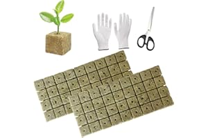 WANYI 72 PCS Cube de Laine de Roche, Laine de Roche Blocs, Rockwool Grow Cubes, Laine de Roche Tapis de Culture Grow avec Ciseaux Gants pour Bouturage la Culture et la Transplantation de Semis