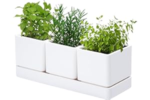 D'vine Dev Herb Garden Planter Set, Plastic Plant Pots with Drainage and Saucer, Indoor Succulent Cactus Vegetable Pot for Windowsill, Garden Balcony, White, Set of 1, 76-V-A-1