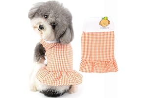 Ranphy vestito per cani di piccola taglia con reticolo per animali domestici per cuccioli gatti principessa canottiera per feste di matrimonio, spiaggia, abbigliamento per chihuahua, Yorkshire Terrier