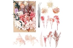 aurorayer Dried Flowers, Natural Dried Flowers for Crafts, Dried Flowers Decoration for DIY Epoxy Resin Crafts, Candle Decoration, Card Decoration, Scrapbooking, Wedding Decoration (Style D)