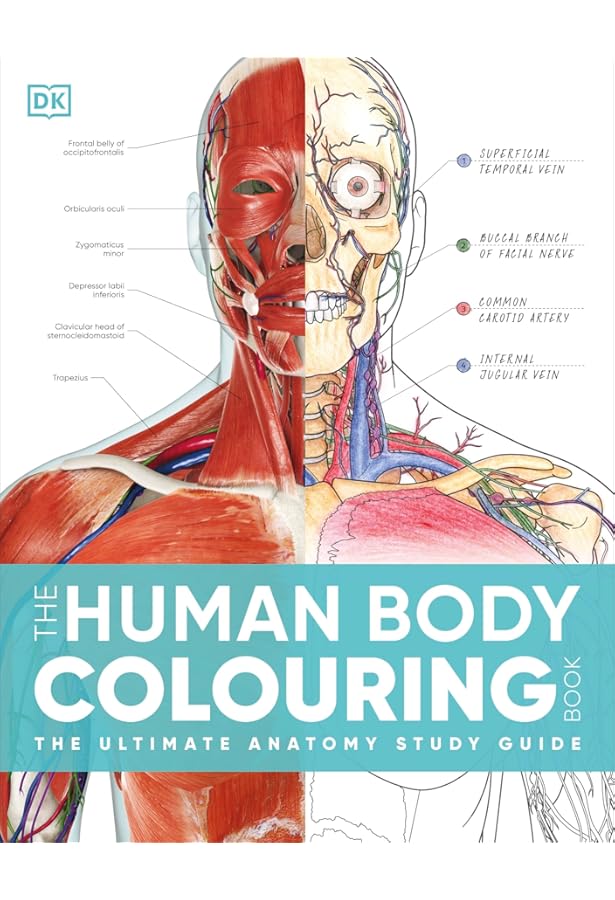 Netter's Anatomy Coloring Book (Netter Basic Science): Amazon.co