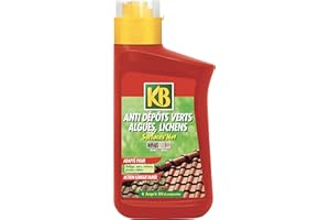 KB Anti Dépôts Verts, Algues, Lichens, 1L