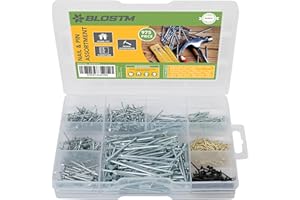 BLOSTM Nägel und Kleine Nägel Set - 975pcs Verschiedene Kurze und Lange Nägel mit Stiften und Praktischem Aufbewahrungskoffer, Rostfrei, 100% Stahl Nagel Set Heimwerk - Stahlnägel für Bilder