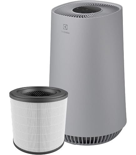 Filtre à Pollen Electrolux EFDBTH4 Breathe360 Pour Aspirateurs 404GY Et PA91