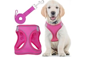 EcoEarth Dog Harness (Medium, Pink) W/Leash for Running, Hiking & Training, Soft-Padded & No-Pull Design Pet Harness W/Leash Clips & Reflective Strips for Safety