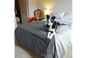 Pawsee Manta Impermeable para Perros, Manta para Mascotas, Manta Impermeable, sofá, Cachorro, Gato, Cama, Asiento de Coche, Cubierta de protección para Muebles, Grande, 203 x 229 cm