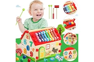 Jojoin Holz Steckhaus - Montessori Spielzeug ab 1 2 3 Jahre - Xylophon Kinderspielzeug ab 1 Jahr - Hammerspiel Holzspielzeug Sortierspiel Lernspielzeug Jahre Jungen Mädche Geschenke