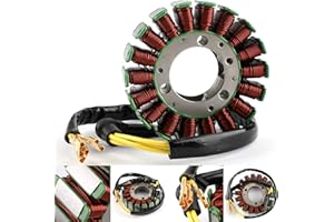 Artudatech Motorcycle Alternator Magneto Stator Coil, Motorbike Magneto Ignition Generator Engine Stator Coil for RC200 RC125 2013-2016 DUKE 125 200 2011-2017