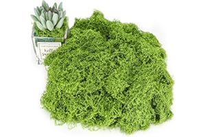Tapvai Fausse Mousse Végétale Decorative 200g, Nylon Fausse Mousse Vegetale, Mousse Décorative À Bricoler Décorer, Réutilisable, Plantes Artificielles pour Compositions Florales, Travaux Manuels