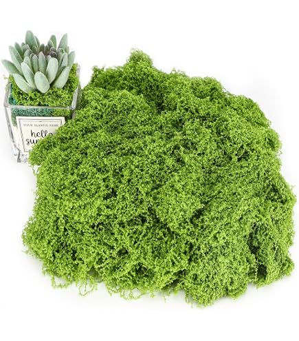 100g Muschio Islandese Artificiale Verde Chiaro – Per Decorazioni Fai Da Te, Pasqua, Giardino