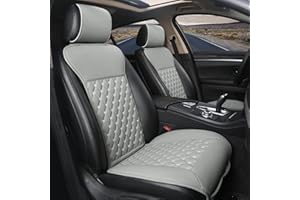 Black Panther 1 Par Funda Coche Asiento con Respaldo Accesorios De Coche Apto para Uso en Cuatro Estaciones (Gris)
