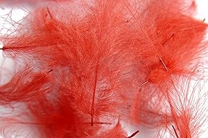 PECHETRUITE 1g Plumes de CDC (Cul de Canard) Rouge pour Montage de Mouche de Peche