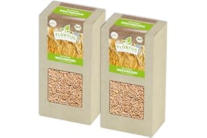 ‎FLORTUS FREUDE AN VIELFALT FLORTUS BIO Weichweizen Getreide Samen 400g | Ertragreicher Weizen zur Herstellung von Mehl Weizenkleie Katzengras & Microgreens | Sprossen Samen