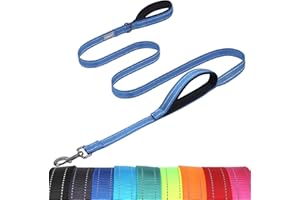 VIVAGLORY Twingrip Dog Lead, Double Handle Dog Lead for Training & Walking with Traffic Handle & 2 Loop, Traffic Control Reflective Heavy Duty for Puppy Pet, 1.8m x 2.5cm, Blue