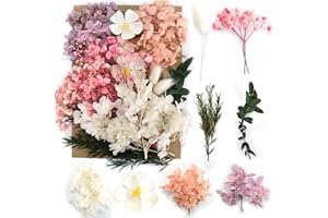 SMATIME Suszone Kwiaty, prasowane naturalne suszone kwiaty, mieszanka suszonych kwiatów, zestaw suszonych kwiatów do makijażu, scrapbookingu, majsterkowania, dekoracji albumów, świec i DIY (białe i fioletowe)