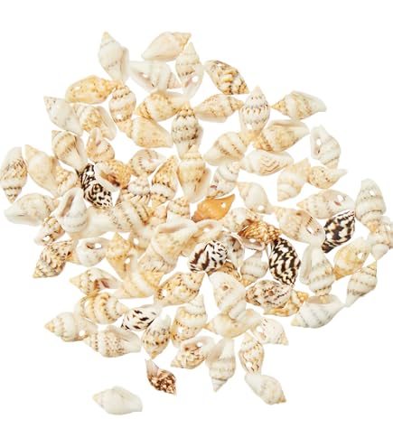 Baker Ross Platte Schelpen 150 Stuks – Natuurlijke Crèmekleur, Ca. 2 Cm, Ideaal Voor Knutselen, Collages En Zomerdecoraties