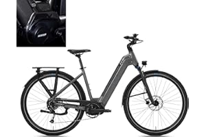 ‎DERUIZ DERUIZ E Bike 28 Zoll Mittelmotor Elektrofahrrad, 250W 80Nm E-Bike, 48V 13.4Ah Lithium-Akku, Shimano 9 Gänge ebike, cityräder 25 km/h bis zu 120 km