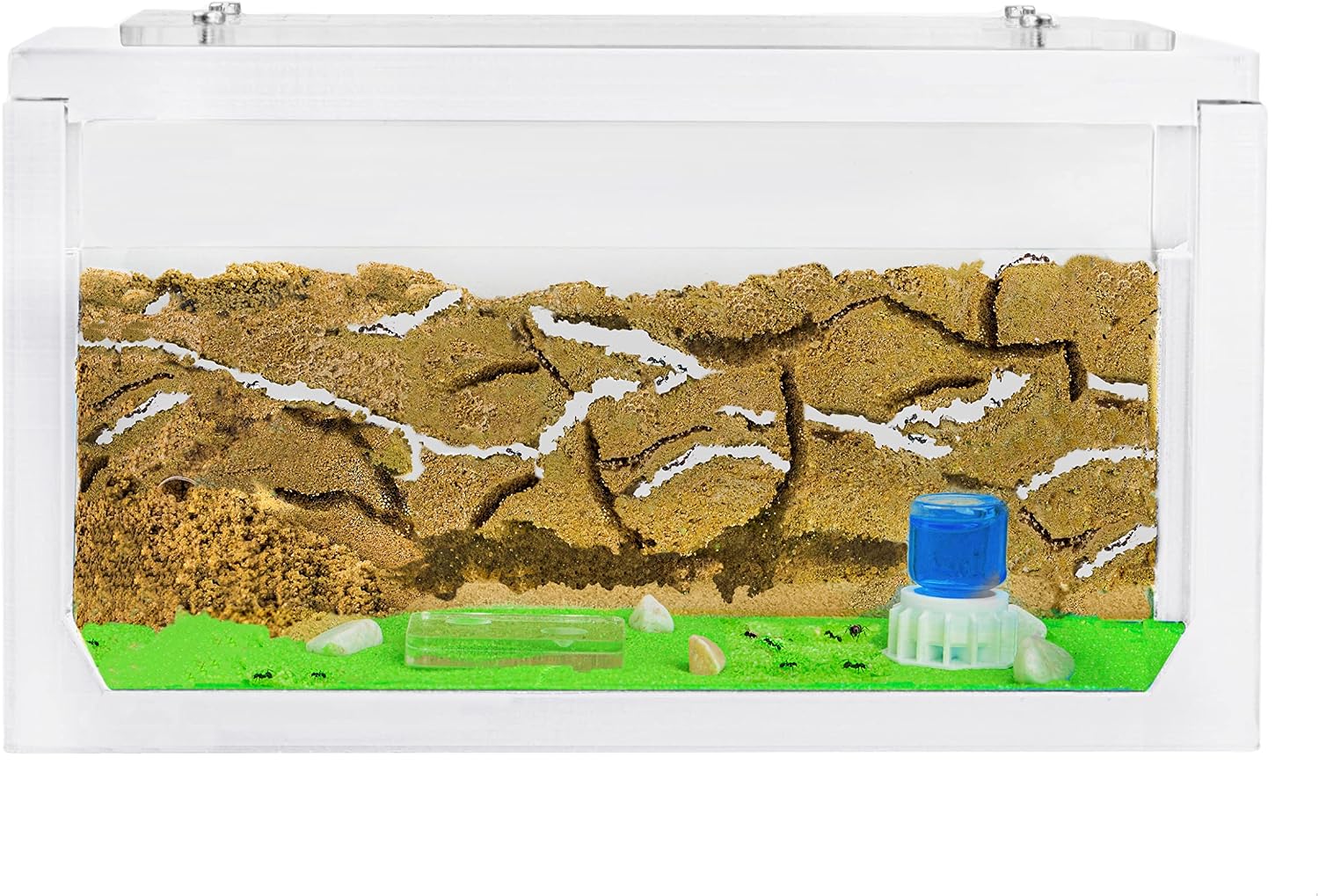 AntHouse.es - Hormiguero de Arena 3D | Kit de Inicio 20x10x10 cm | Granja de Hormigas Color Blanco | Hormigas Incluidas