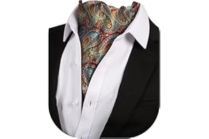 Beaface Men Cravats Ties, Ascot Ties Cravats for Men Paisley Floral Jacquard Woven Cravat Tie Wedding Business Party Casual