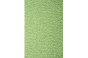 ‎NETUNO Netuno 10x Tonkarton Pistazien-Grün einseitig strukturiert DIN A4 210x 297 mm 220g Prisma Pistacchio Präge-Karton bunt Strukturkarton für Weihnachten Hochzeit Geburtstag Einladungen