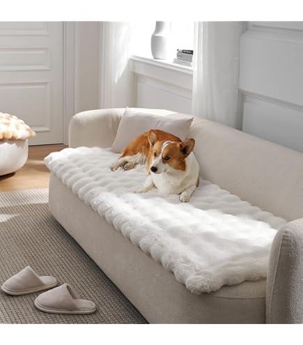ENONCI Hondendeken van flanel, dikke bankovertrek, huisdiervriendelijk, zacht en comfortabel, antislip ontwerp, veilig en duurzaam, machinewasbaar, bankbescherming, beige, 70 x 150 cm