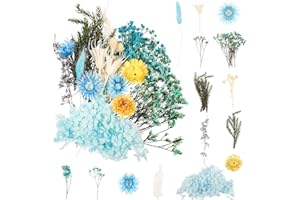 Halinuia Bouquet de Fleurs Séchées Naturelles Vraies Fleurs Pressées Décoration pour Bricolage Résine Epoxy Bijoux Floraux Nail Art DIY Bougie Fabrication Artisanale Scrapbooking(Bleu)