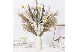 BUOAZR 100 Stück Pampasgras Getrocknet, Natürliche Trockenblumen Strauß, mit Bunny-Tails-Trockenblumen, Weißes Pampasgras, für Hochzeiten, Wohnkultur, Boho-Tischdeko