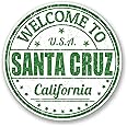 2 x 10cm Santa Cruz Vinyl Sticker Luggage Travel Tag California USA Fun #5740 (10cm x 10cm)