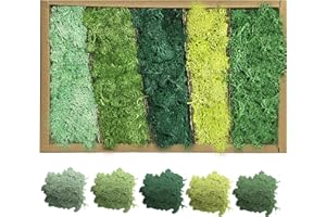 GIGTOOP Islandmoos zum Basteln, Moos Konserviert Deko Moos zum Basteln Moosbild Modellbau Kunst Moos Natur konserviertes Moos in 5 Farben Natürliche Wiederverwendbare Moosblätter für Deko Rentierschaum