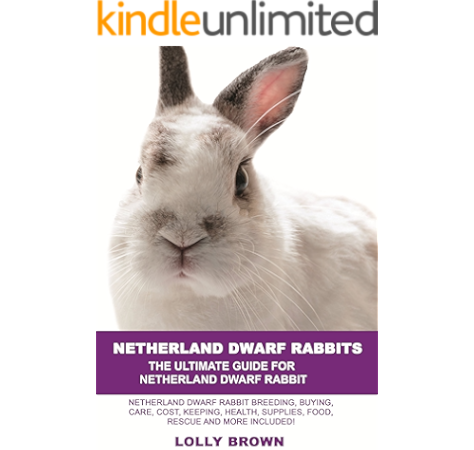 dwarf bunny food list