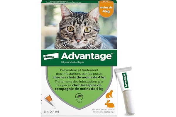 Advantage Chat & Lapin de moins de 4 kg – Pipettes anti puces chat pour prévention des infestations – Traitement anti puces lapin pour une protection en continu pendant 3 à 4 semaines – 6 x 0,4 ml